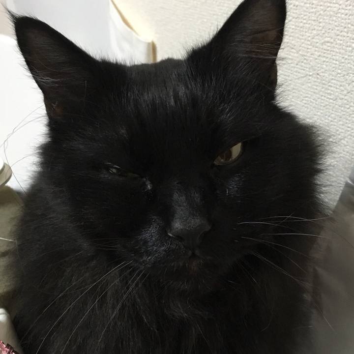 8006adf6 929b 4f1e 871a d3772b18399d 1543029478787