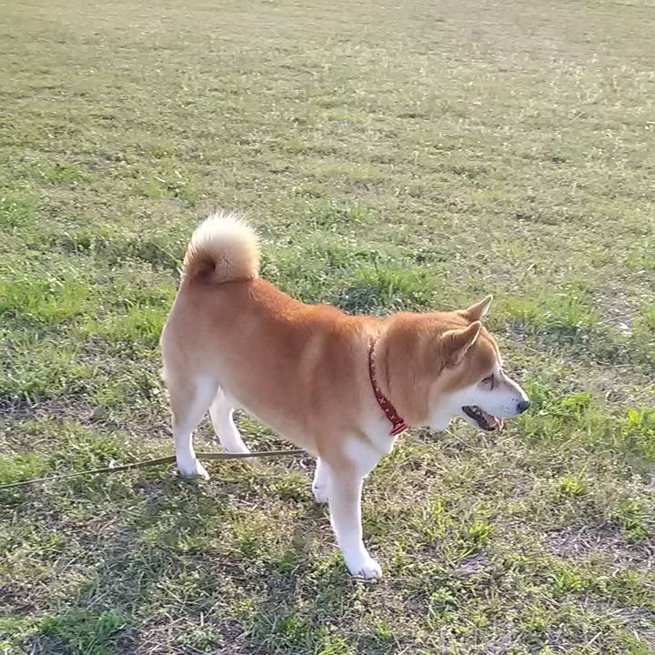 8006b60a 40d7 48c2 b0c1 3c743269f134 1648629684702