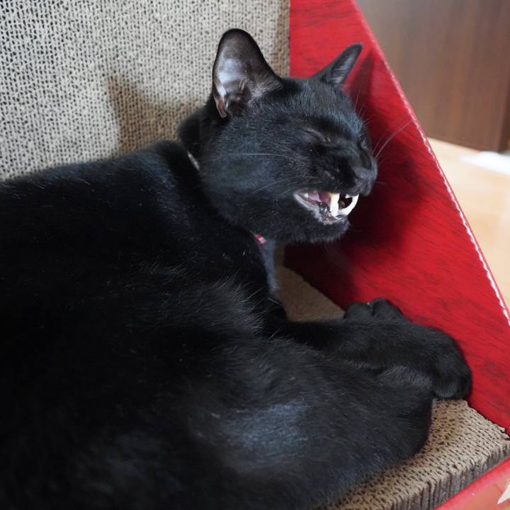 8006e211 0346 470c b5df f3b808dd86f2 1594391674454