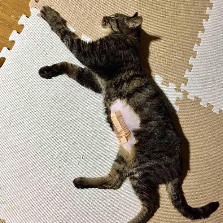 80072d42 4f77 4ab3 9ed1 123b3a147ae2 1533387055699