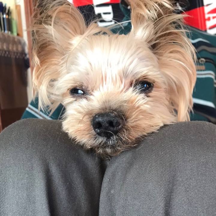 80073165 a38a 42ed bbf0 c8ed2f9b2df6 1674122925881