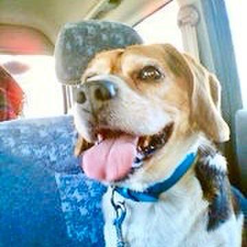 800741ab a228 4413 a953 43f799bec3c2 1766914015471