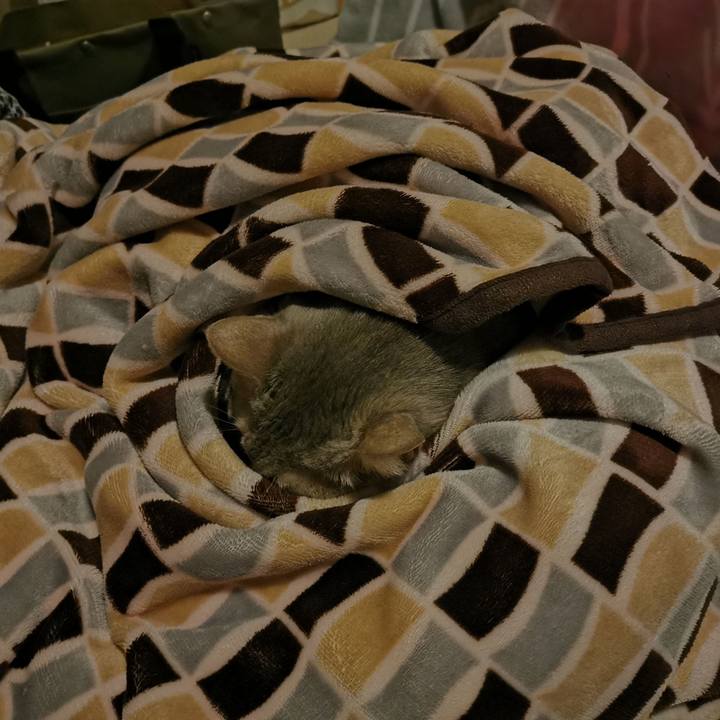 80078c56 0da0 4c17 8046 3c6301644451 1671379042347