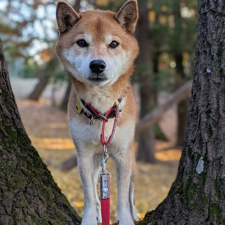 8007dc9e e2bf 4989 9c93 2096075f32d3 1733214239910