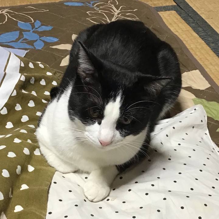 8007e8d4 c201 46de b20f 3a1524949484 1645181556136