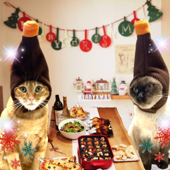 8007f1b2 3056 4e78 8afb 160c7aa74461 1577188076775