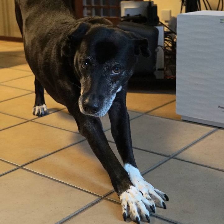 80080abb fc90 4546 b596 54cc70bf882c 1762489180838