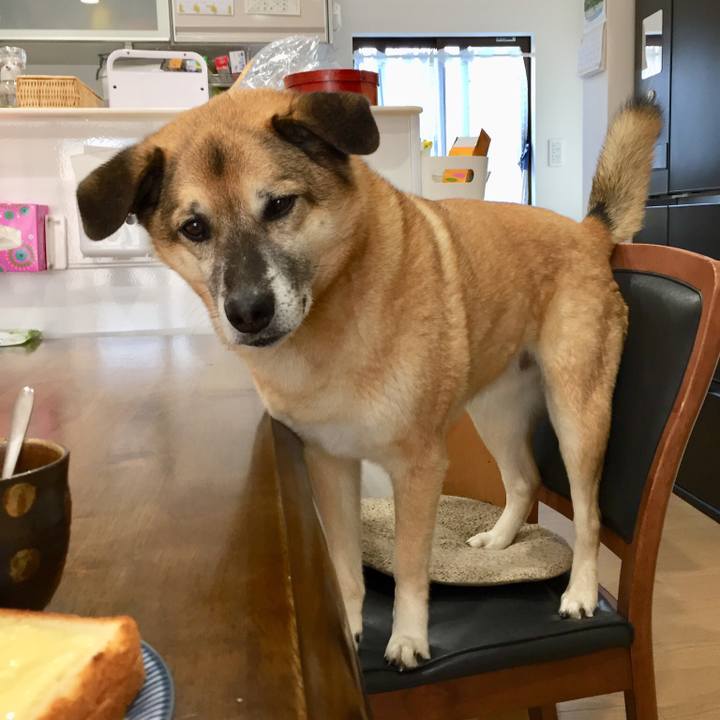 8008103d 00f3 489f ac8c e88fd933cef6 1521070344596