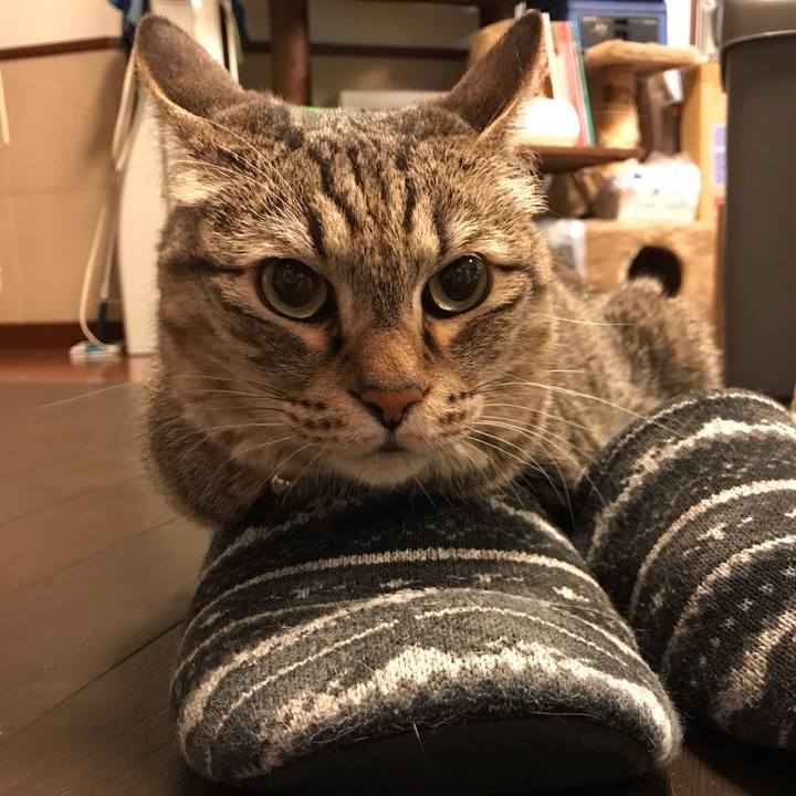 80081af8 924e 4c2e 92bd 0d9b93baa5c8 1559215298929