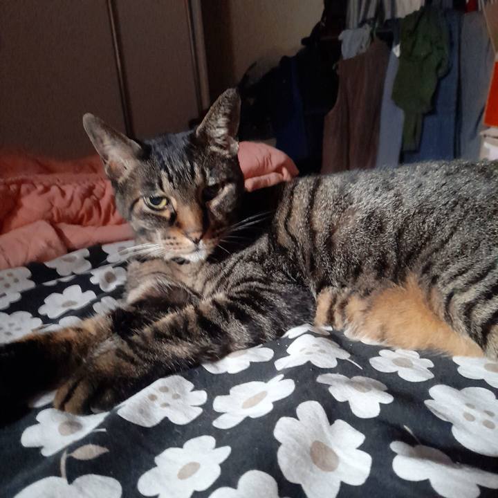 80083e14 98f0 40b8 8f86 651dafdf5279 1766317140407