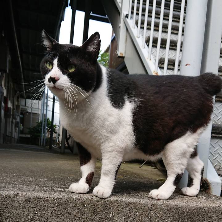 8008501f a8e0 4f2d a2b2 7d65fe09b387 1539822621401