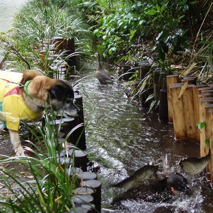 80085eb7 0205 4cac b6db cfc8ae3661ef 1523756862114