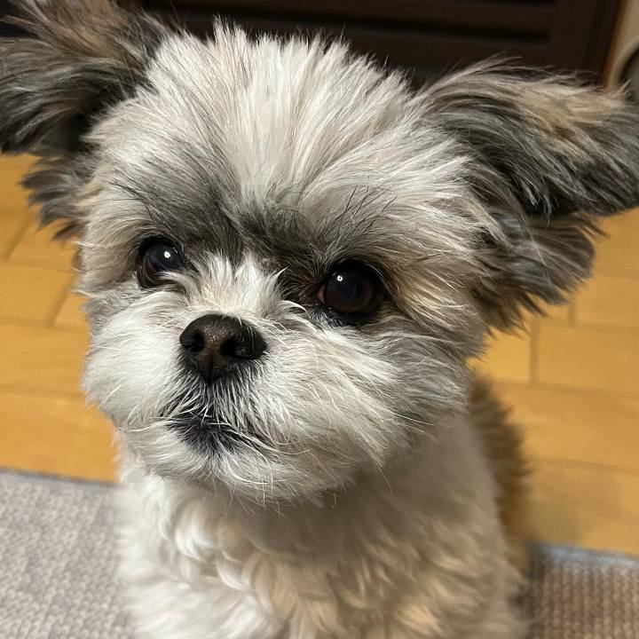 8008620e cafc 4399 8506 21085e68945c 1645523147289