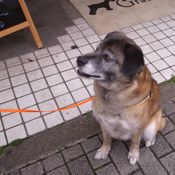 800884f2 eb5d 489e b39d 66f9cf0dde99 1585530428153