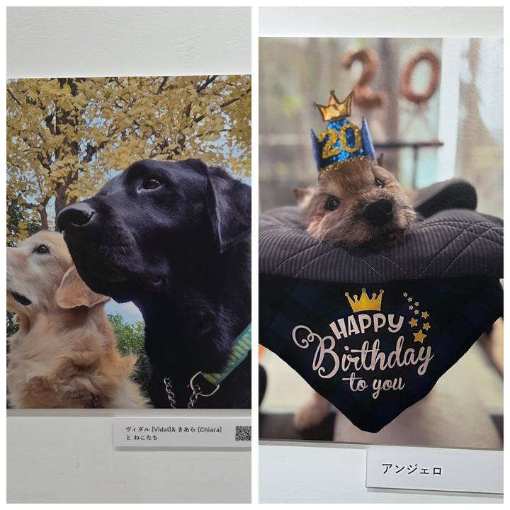 8008c045 d91d 44ae aa7a 6ffe40693663 1761638322104