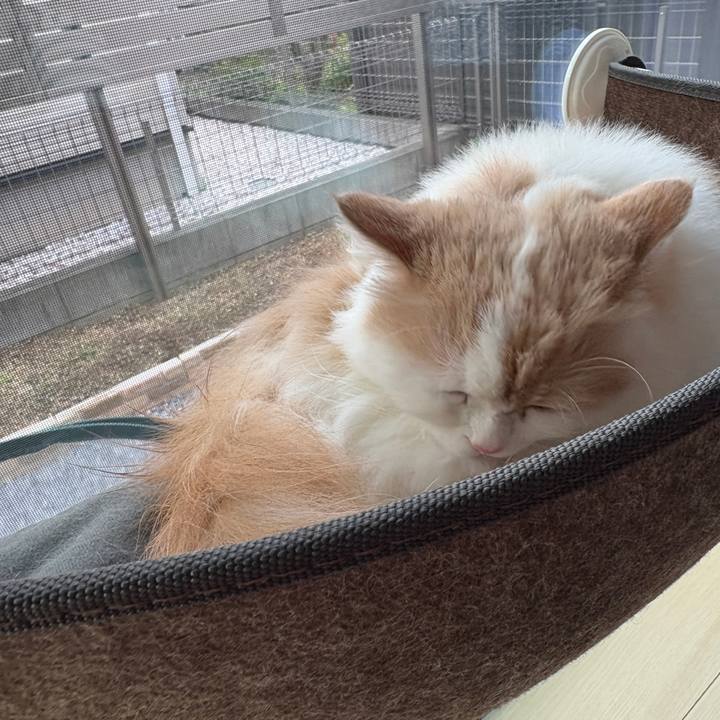 8008cf9d 9a50 416b 9bd4 0d461d83a1ed 1765275363851