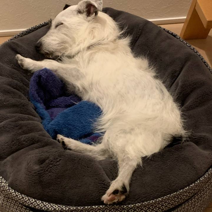 8008d074 25bf 4c01 b8bd a49dadc2819c 1651842026897