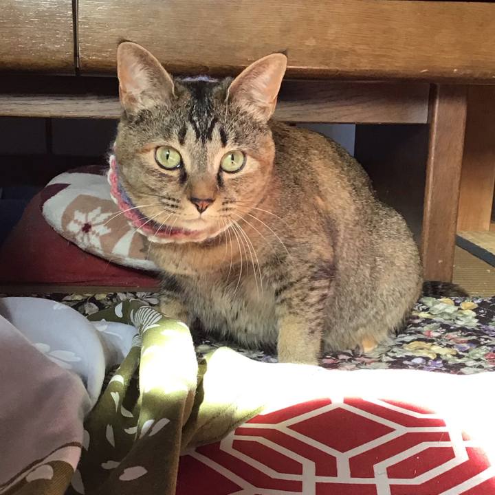 8008d354 8ce5 41eb 9be6 500ff2b46be0 1618897661763