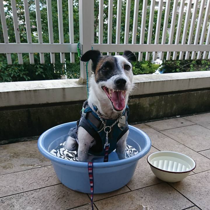 8008ed0f 5050 4f3d 9f4d d6b587d56574 1598509664237