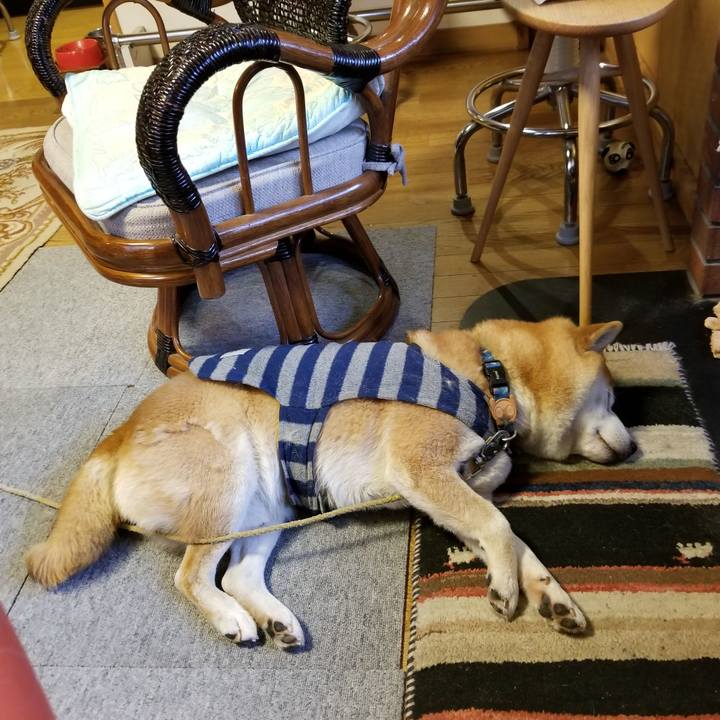 80090517 7866 4e51 83f6 269fb2a23763 1577229195665