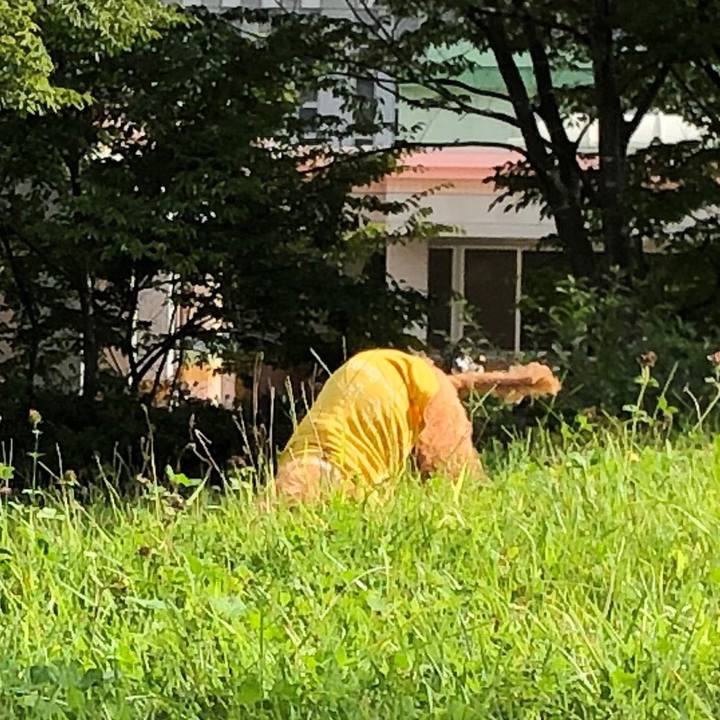 8009158c 8460 4f72 bdce c1ec47b27ee3 1569664851804