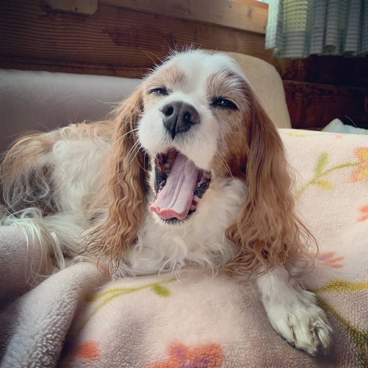 80094b5e e34d 48bc b70f 54f00a51e67f 1575162736571