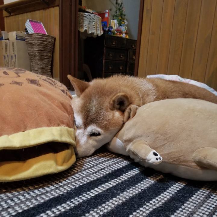 80096455 bb95 4c3a ae84 b53fca359e15 1662027676521