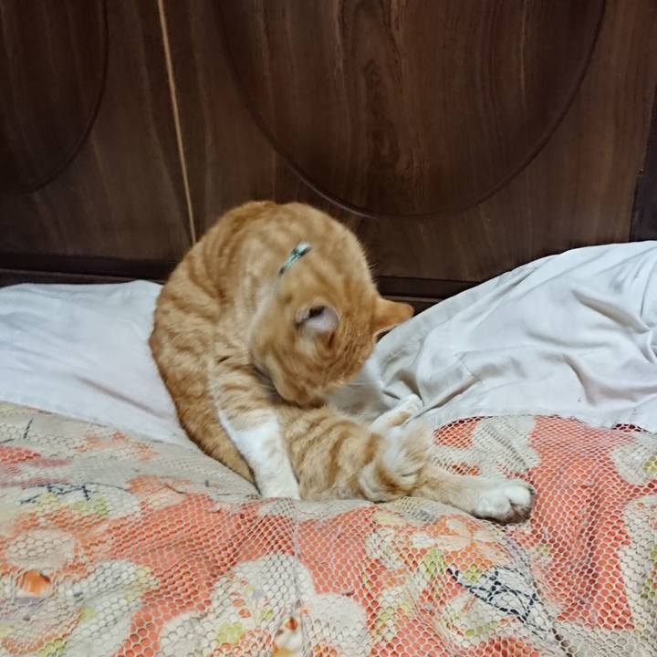 800978d7 8d74 4272 a382 67cf426b317b 1584530738539