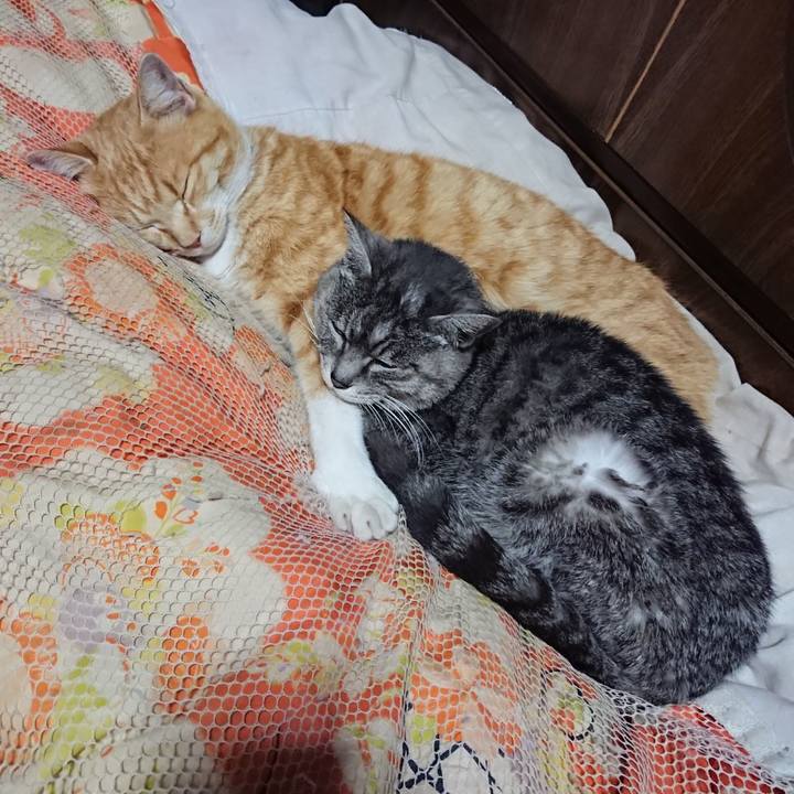 80097f63 2e97 48f2 9d0b 5de035933ba1 1584622558460