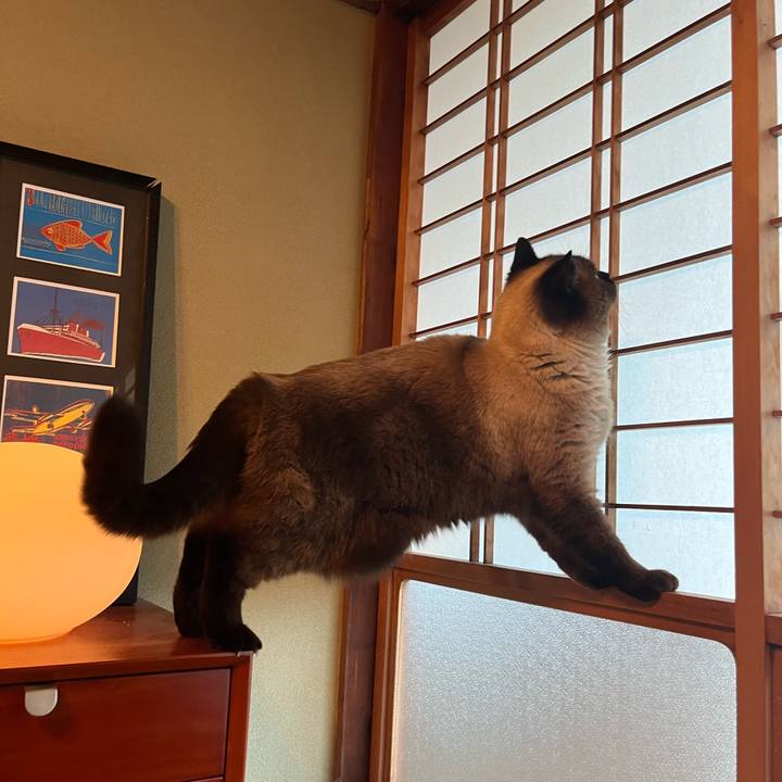 80099826 b20a 43c3 a2e3 6d2083d4001c 1731372336210