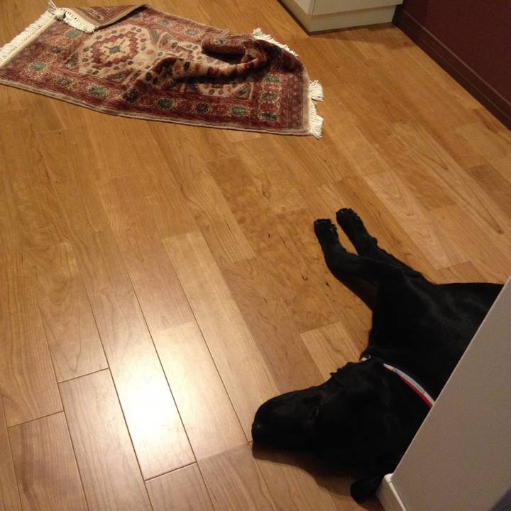 8009c208 f522 4ae3 98ba 194d33c514e4 1562428209182