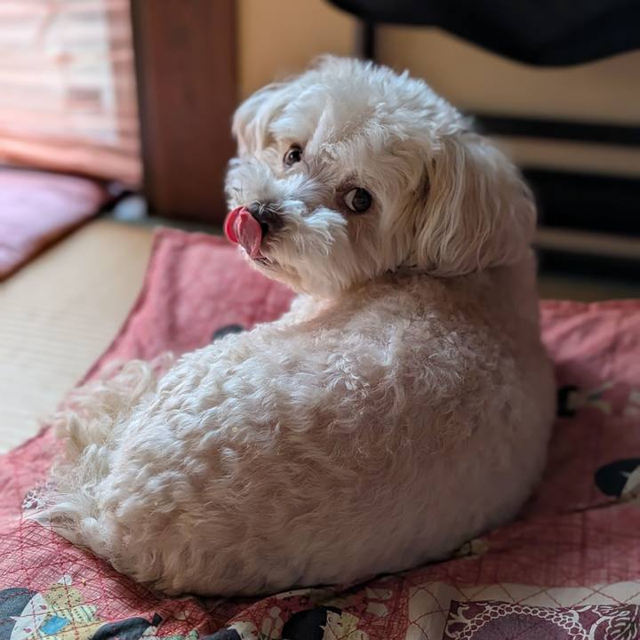 8009dd14 56f5 44a1 98cc ff84be4033ae 1773123026684