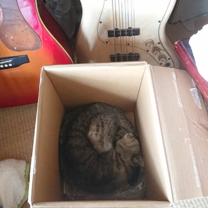 800ab3a4 cf52 4873 9ccc 56d596f9df6b 1591399958497