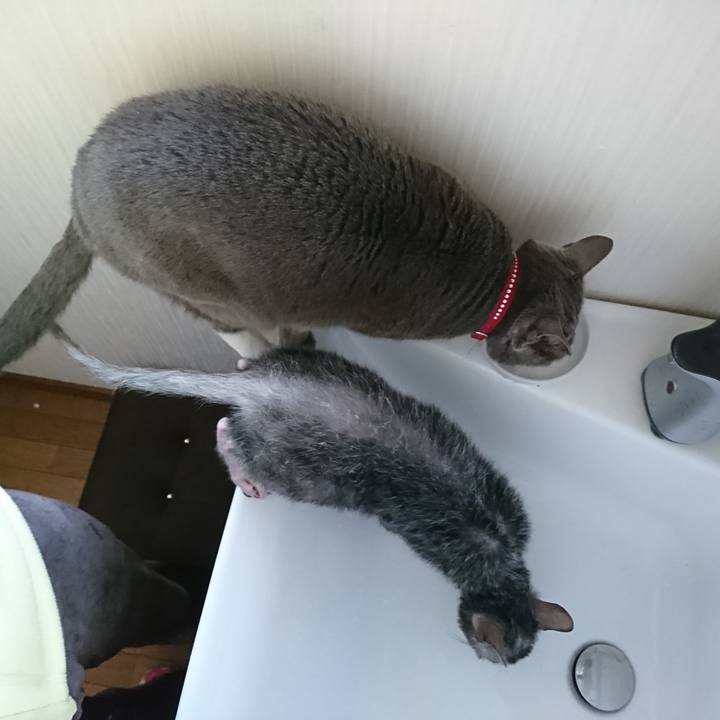 800ac5ca 57a7 47cf 8274 9d453be9bcc7 1519614250260