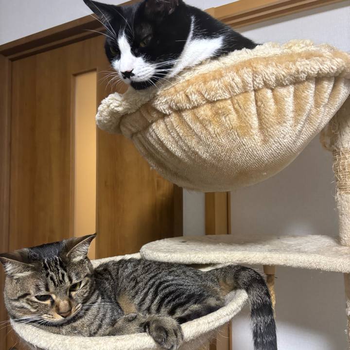 800ae233 7a73 4f2b a383 cfc5d24c69cf 1765415316952