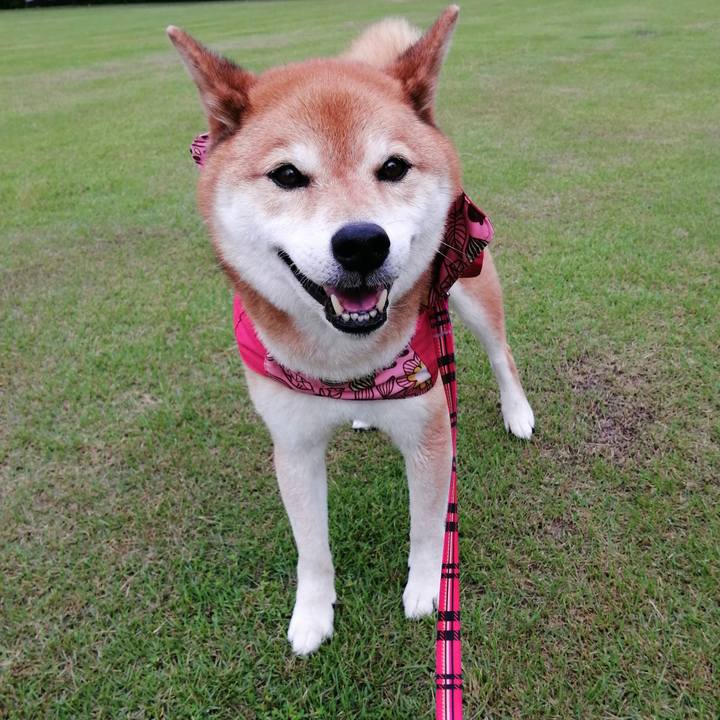 800b03ac 0b5f 469a b11b a240d3ace3eb 1685685220529