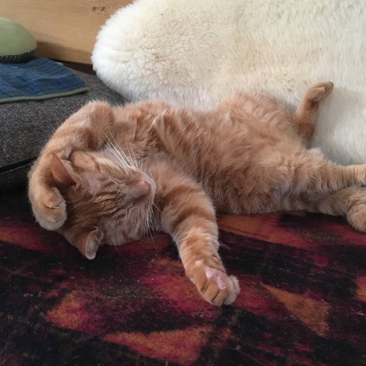 800b180d d587 421f a4ae 106149e320fd 1604676926173