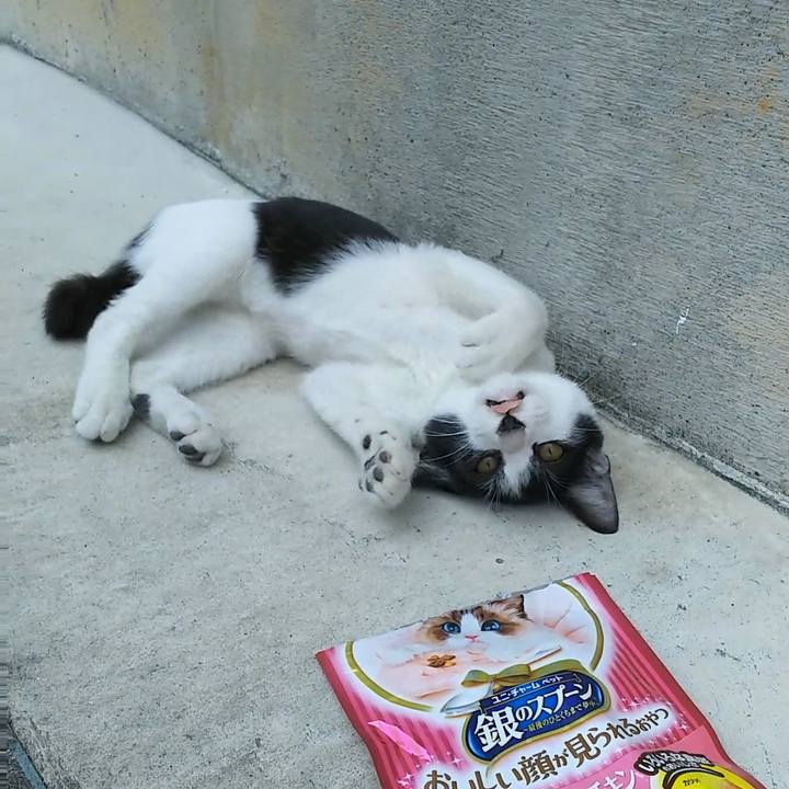 800b211f d10c 4f41 9f7c d1c4a6e7765e 1533103735364