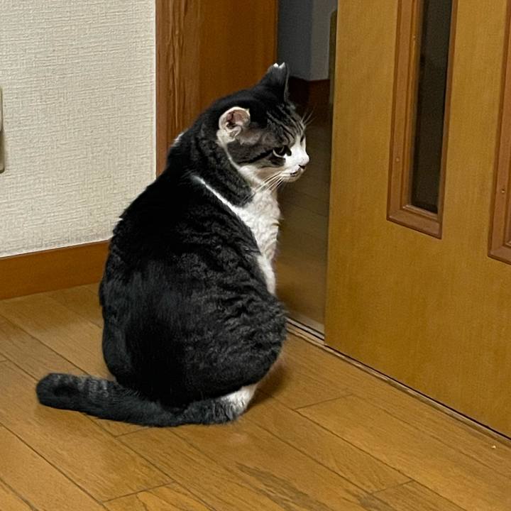 800b4fc7 9a93 43c8 939e 9029e8b8c652 1732014133719