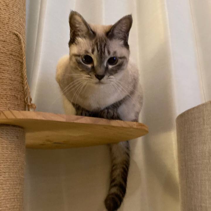 800b5b5d f657 420b 9724 acec51da38a7 1665575212910