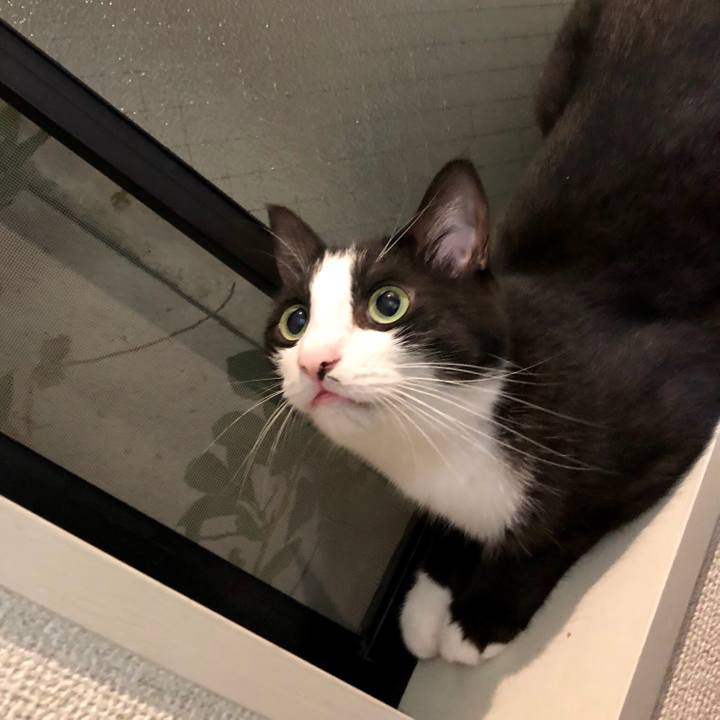 800b6c72 5acd 408c 8425 6e23225b1599 1533131049077