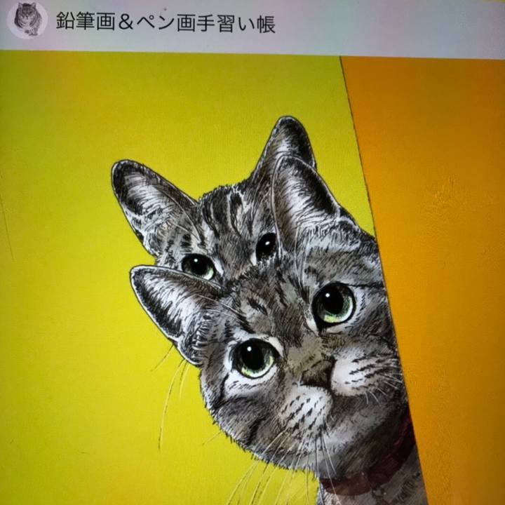 800b7913 41b8 42f5 98ca b816106364fc 1568379084785