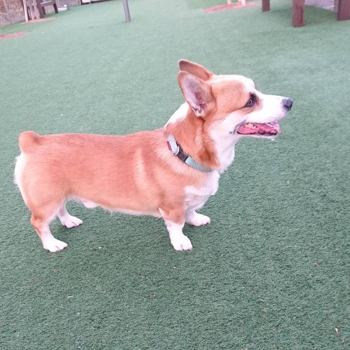 800b89fa 8456 4e6f a9d3 05f0b041929f 1607665584935