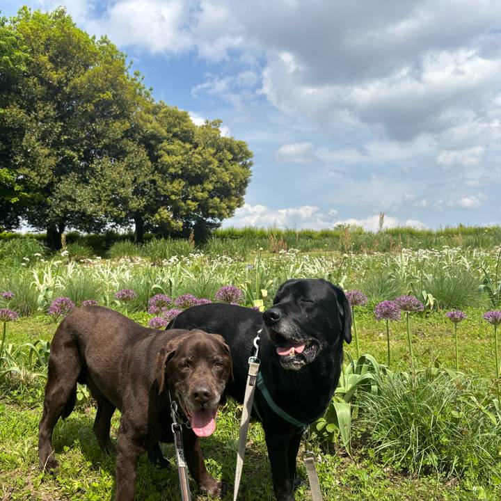 800b8c09 5cdc 4e1a aeb7 ac6e189be16b 1777380010380