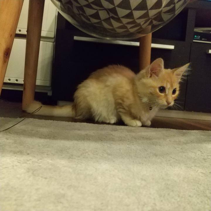 800bbd6a 0753 4268 89c8 680ae6f43226 1607460804906