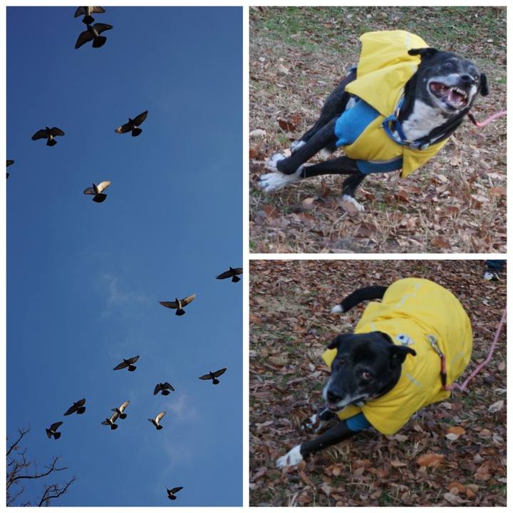 800bc86c 4f46 42ef ab76 8d649155b52a 1767230538137