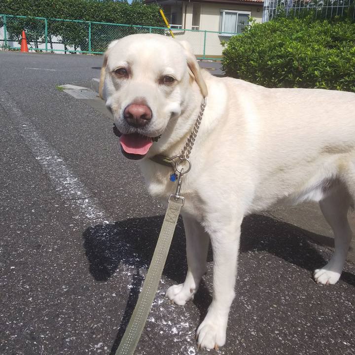 800bdfe1 047a 4b21 903f bed3329d12b4 1568251293184