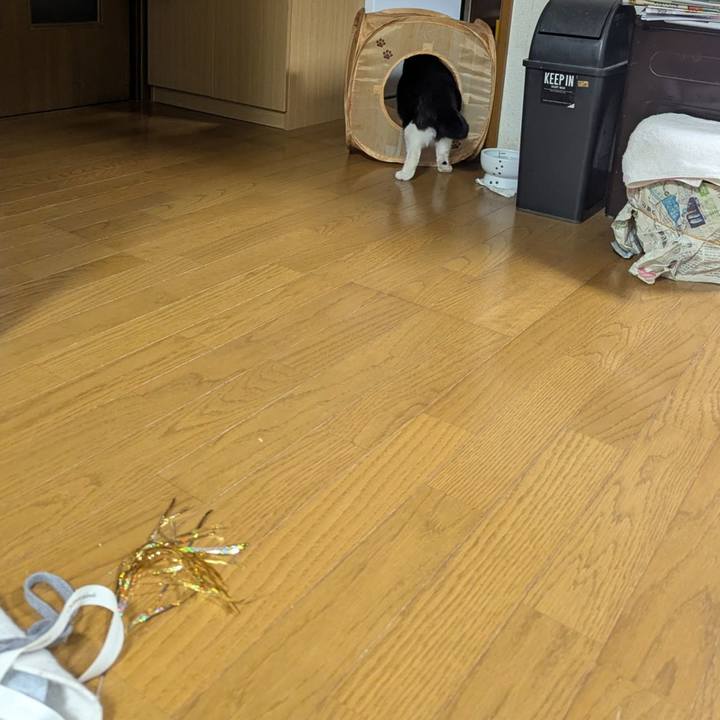 800c3363 7508 41d3 8386 f78800b7b437 1742715149711