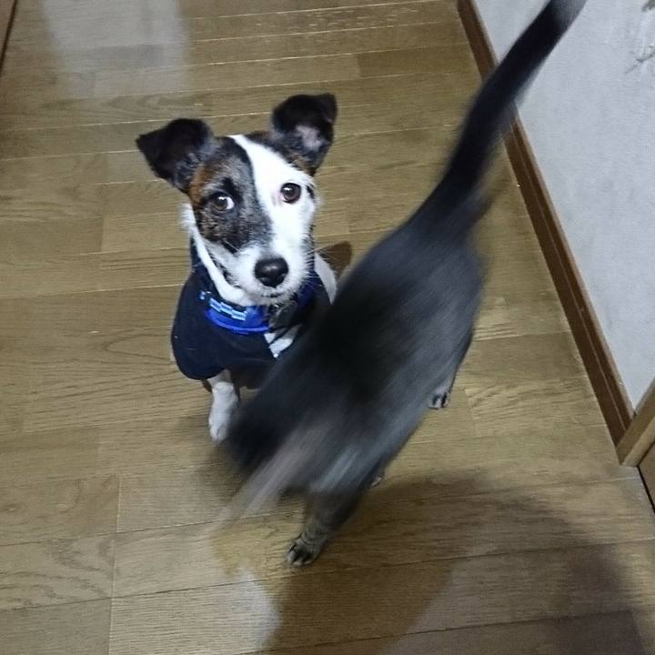 800c71cd 3d06 4a89 904e 81ccdd79c7f3 1511735853444