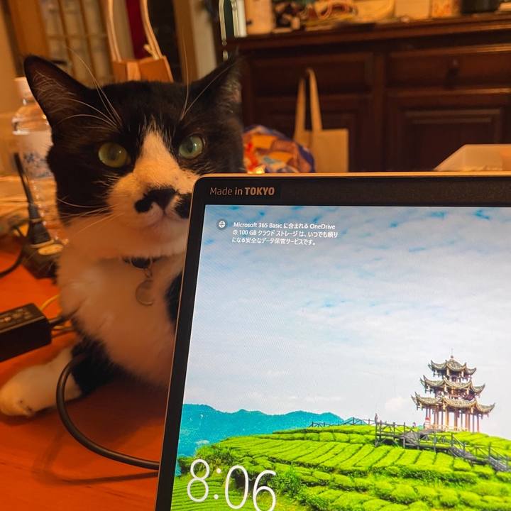 800c8f3c 01f2 4372 ba64 5306d9c43e03 1725147154647